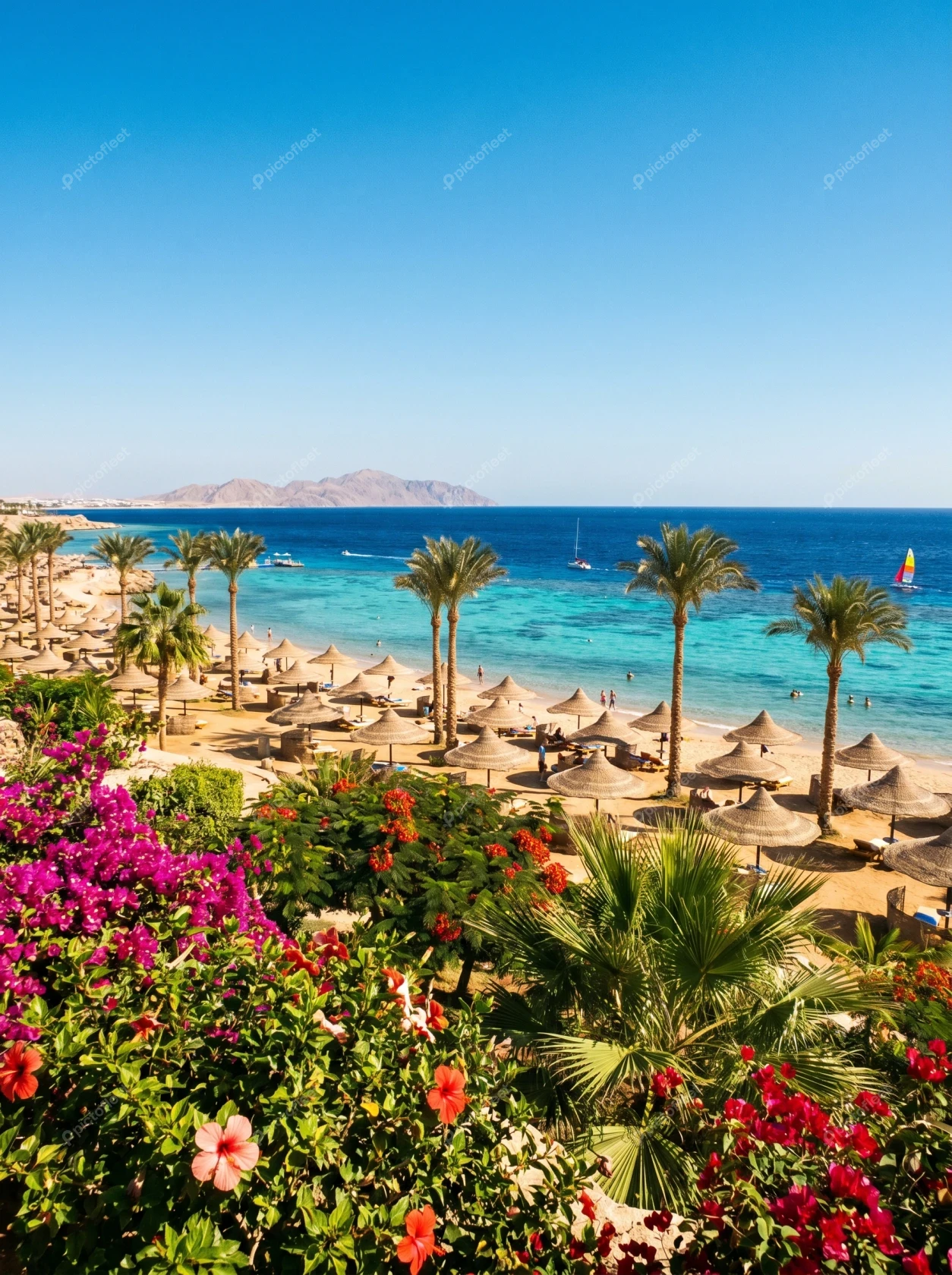 Tropical beach resort with palm trees and flowers in Egypt