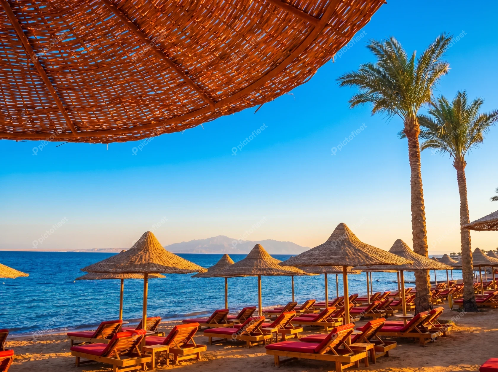 Tropical beach resort with straw umbrellas and palm trees