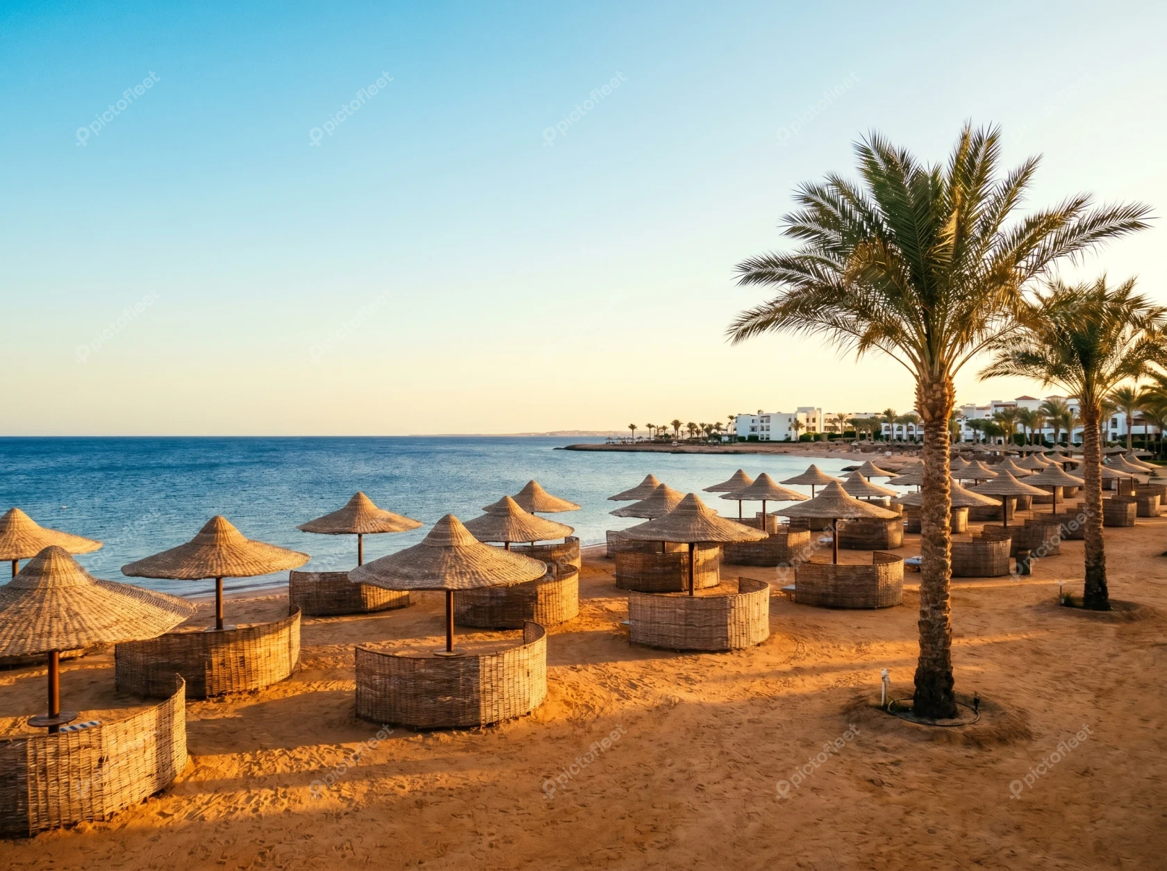 Tropical beach resort with straw umbrellas and palm trees