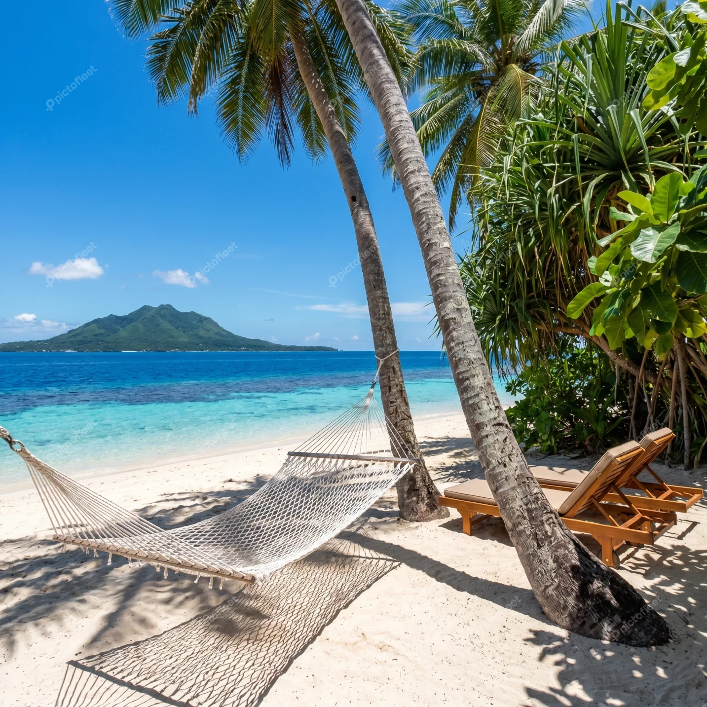 Empty hammock between palm trees on a tropical paradise beach