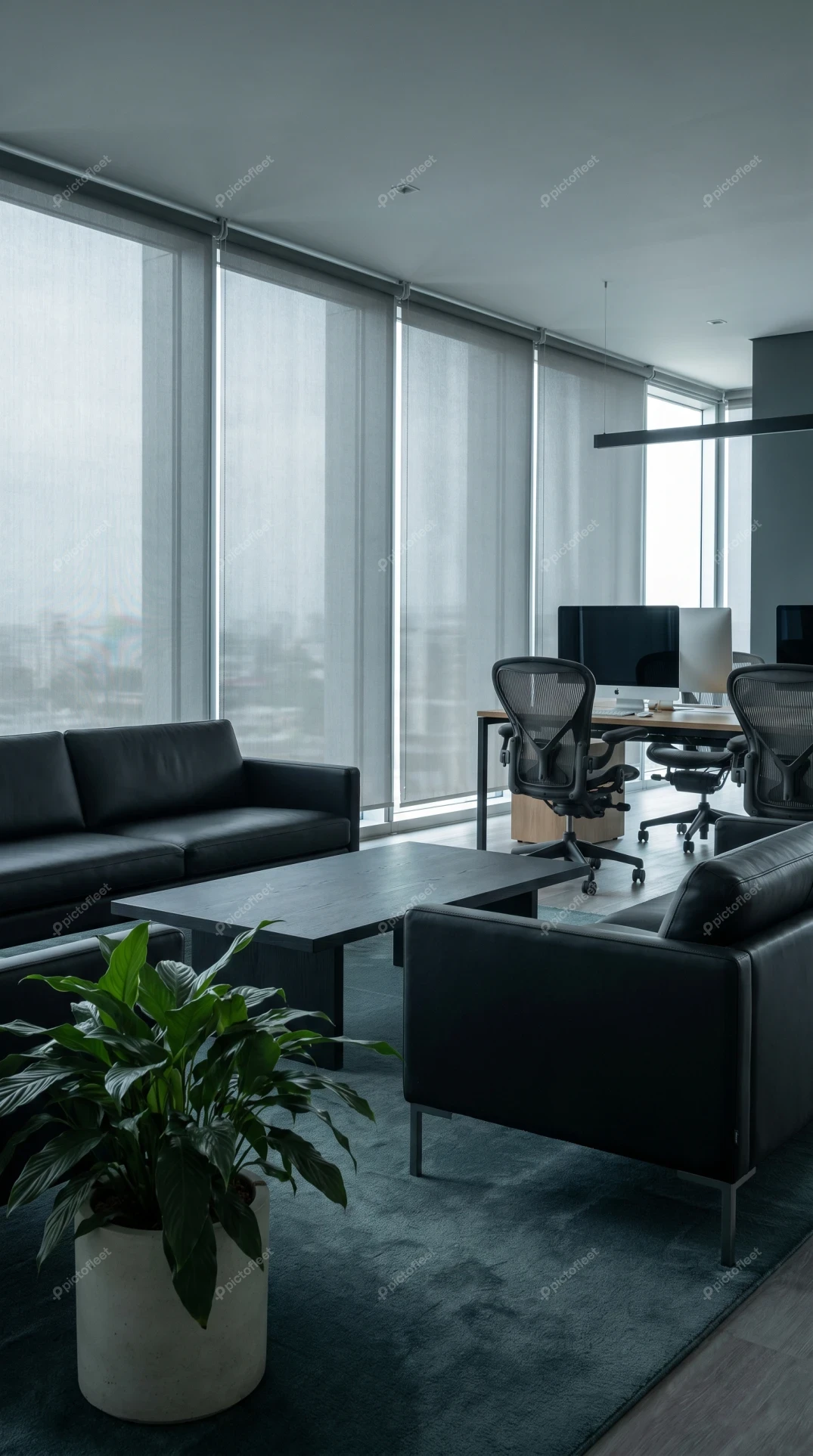 Modern minimalist office interior with leather sofas and large windows