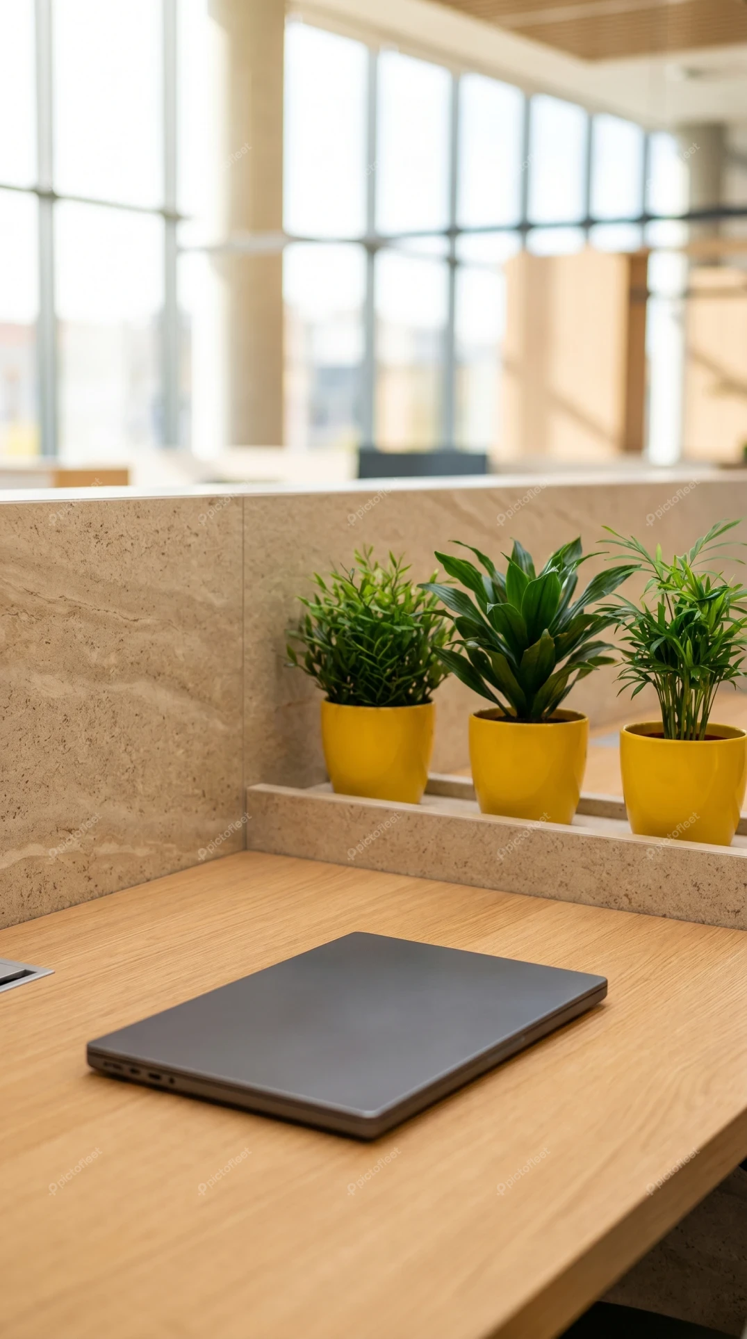 Closed laptop on wooden desk in bright modern office