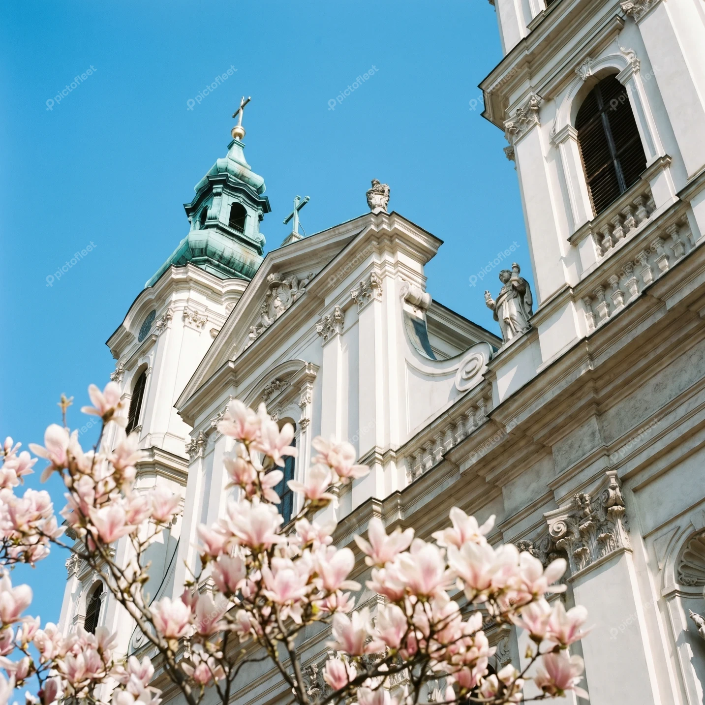 White baroque cathedral behind blooming magnolia tree in spring